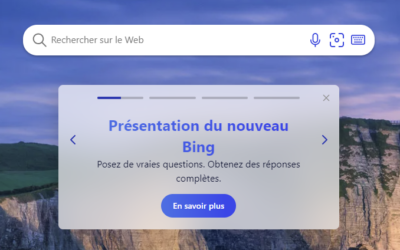 Astuces pour améliorer la confidentialité de vos recherches sur Bing